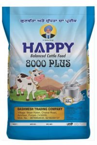 Cattle Feed 8000 manufacturer in punjab