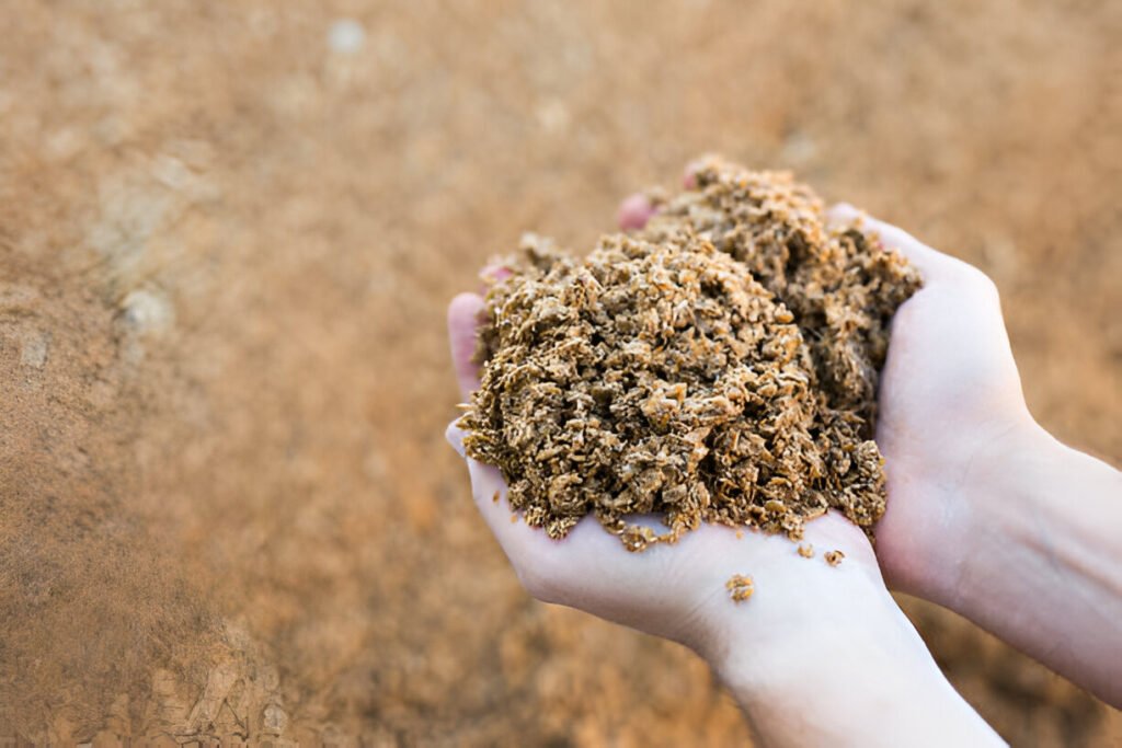 Cattle Feed Manufacturer in India